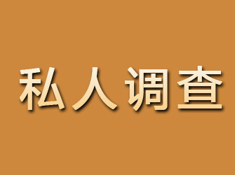 沙市私人调查